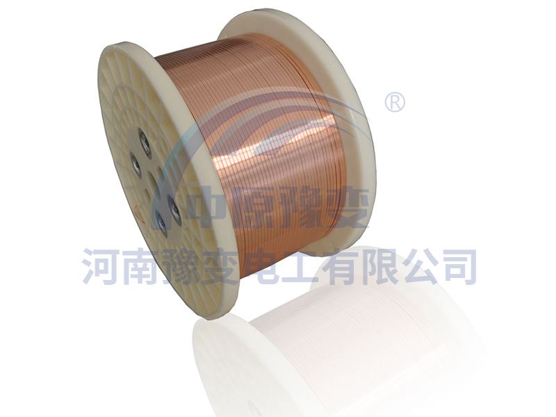 裸扁銅線(xiàn)